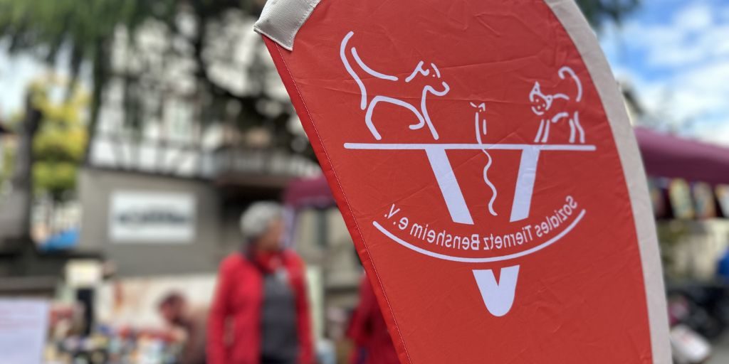 Bücherflohmarkt-2510-2